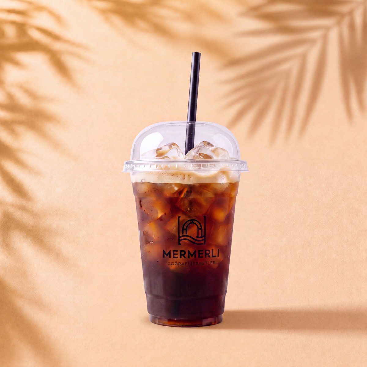 Soğuk Filtre Kahve / Iced Filter Coffee